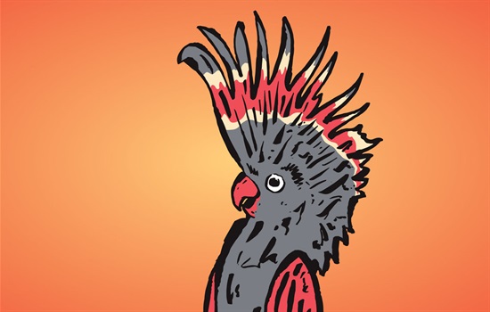 MICF_1140X725.jpg